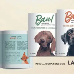 Libri "Bau! Guida pratica per cani e padroni felici" con immagini di cani. Imparare a comunicare con i cani baustelle.