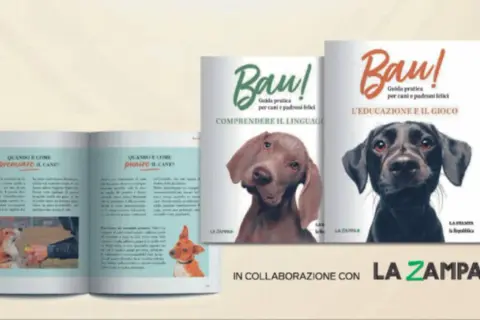 Libri "Bau! Guida pratica per cani e padroni felici" con immagini di cani. Imparare a comunicare con i cani baustelle.