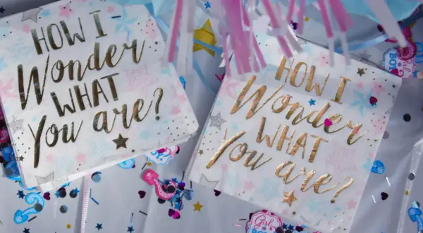 Tovaglioli con scritta "How I wonder what you are?", perfetti per una festa di rivelazione del sesso o per celebrare la canzone nascita bambina.
