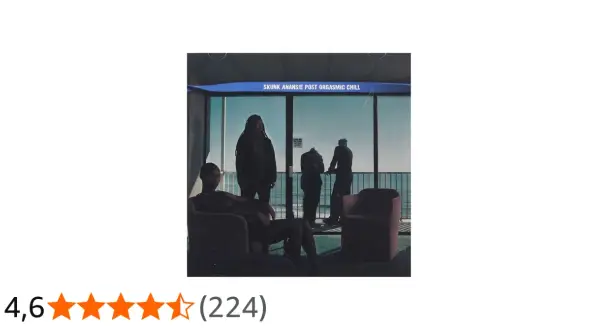 Copertina dell'album "Post Orgasmic Chill" degli Skunk Anansie, con quattro figure in un ambiente interno con vista sul mare.