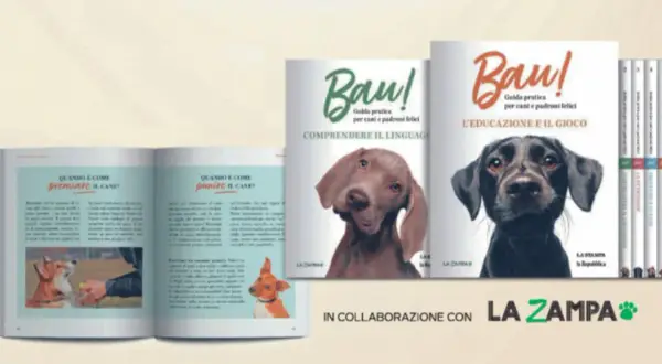 Libri "Bau! Guida pratica per cani e padroni felici" con immagini di cani. Imparare a comunicare con i cani baustelle.