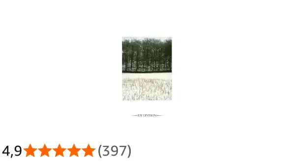 Foresta invernale spoglia e campo innevato, evocano l'atmosfera Joy Division.