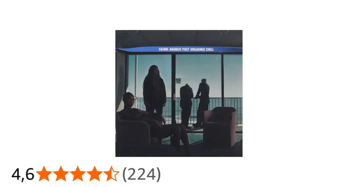 Copertina dell'album "Post Orgasmic Chill" degli Skunk Anansie, con quattro figure in un ambiente interno con vista sul mare.