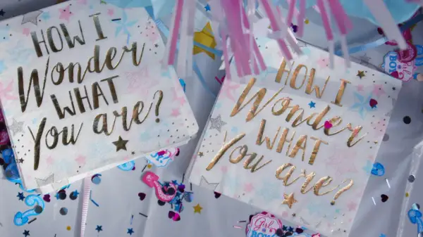 Tovaglioli con scritta "How I wonder what you are?", perfetti per una festa di rivelazione del sesso o per celebrare la canzone nascita bambina.