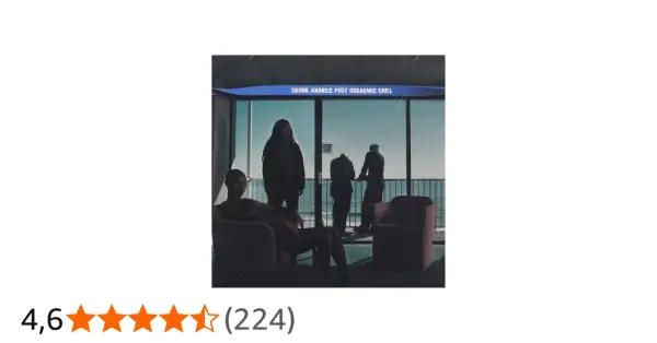 Copertina dell'album "Post Orgasmic Chill" degli Skunk Anansie, con quattro figure in un ambiente interno con vista sul mare.